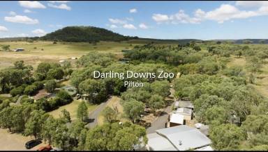 Land/Development For Sale - QLD - Pilton - 4361 - "Darling Downs Zoo" A Magic Opportunity" 122 Acres  (Image 2)