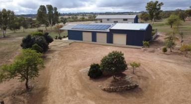 Acreage/Semi-rural For Sale - WA - Mount Hardey - 6302 - The Complete Package
All Offers Considered  (Image 2)