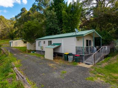 House For Sale - NSW - Wyndham - 2550 - SHE’S A LITTLE BEAUTY  (Image 2)