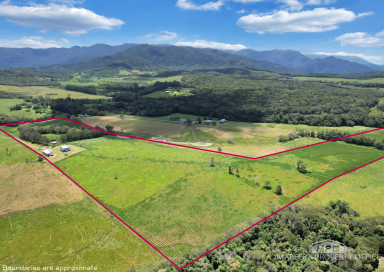 Lifestyle For Sale - QLD - Julatten - 4871 - REFRESHED QUEENSLANDER ON 37 ELEVATED ACRES OF GREEN PASTURE!  (Image 2)