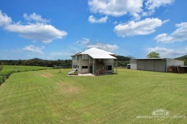 Lifestyle For Sale - QLD - Julatten - 4871 - REFRESHED QUEENSLANDER ON 37 ELEVATED ACRES OF GREEN PASTURE!  (Image 2)