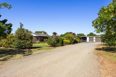 Acreage/Semi-rural For Sale - NSW - Temora - 2666 - AFFORDABLE ACREAGE - ACT NOW!  (Image 2)