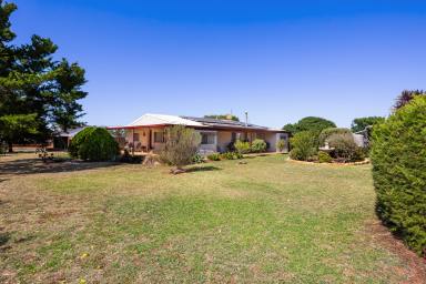 Acreage/Semi-rural For Sale - NSW - Temora - 2666 - AFFORDABLE ACREAGE - ACT NOW!  (Image 2)