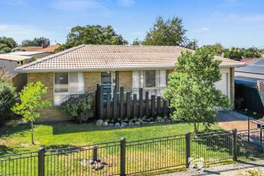 House For Sale - VIC - Cranbourne North - 3977 - Location, Location & Location!  (Image 2)