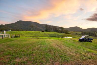 Lifestyle For Sale - NSW - Vacy - 2421 - 'Glen Vista' Paterson Riverfront Rural Lifestyle  (Image 2)