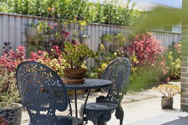 House For Sale - NSW - Korora - 2450 - MODERN COASTAL ELEGANCE - 400M TO KORORA BEACH  (Image 2)