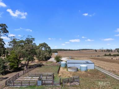 Mixed Farming For Sale - VIC - Stony Creek - 3957 - Quality Grazing - Central Location  (Image 2)