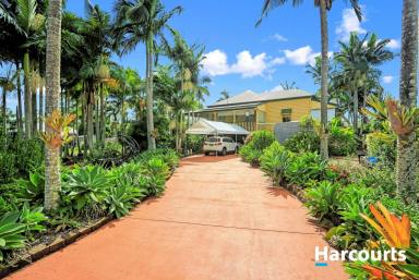 House For Sale - QLD - Cordalba - 4660 - CHARACTOR & CHARM FILLED HOME WITH POOL  (Image 2)