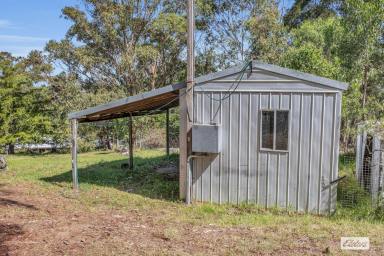 Acreage/Semi-rural For Sale - NSW - Brogo - 2550 - Tranquil Rural Escape on 20 Acres  (Image 2)