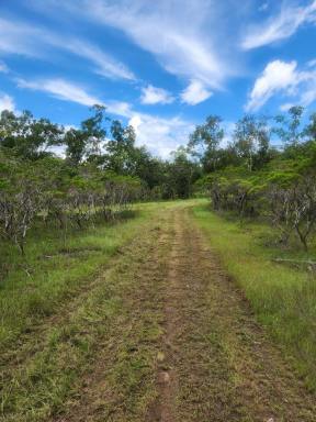 Residential Block For Sale - NT - Dundee Forest - 0840 - Is this your piece of paradise  (Image 2)