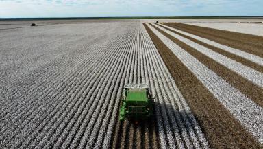 Cropping For Sale - NSW - Hay - 2711 - Noongaburra  (Image 2)