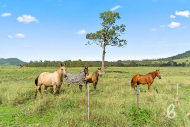 Other (Rural) For Sale - NSW - Glendon Brook - 2330 - SCENIC RURAL LIFESTYLE PROPERTY  (Image 2)