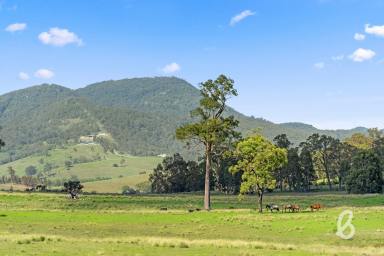 Other (Rural) For Sale - NSW - Glendon Brook - 2330 - SCENIC RURAL LIFESTYLE PROPERTY  (Image 2)