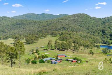 Other (Rural) Sold - NSW - Glendon Brook - 2330 - SCENIC RURAL LIFESTYLE PROPERTY  (Image 2)