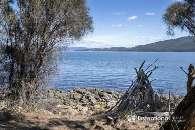 House For Sale - TAS - Alonnah - 7150 - Waterfront Reserve Acreage with Charming Cottage & Bungalow!  (Image 2)