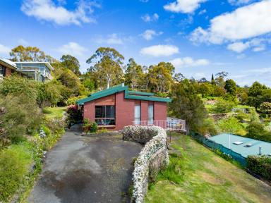 House For Sale - TAS - Riverside - 7250 - Big Family Home with Potential!  (Image 2)