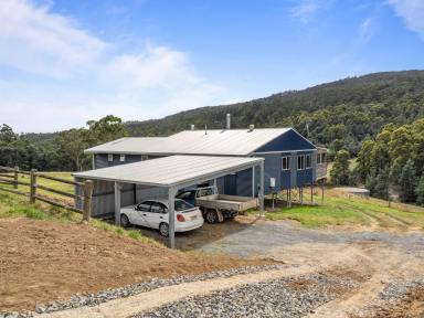 House For Sale - TAS - Acacia Hills - 7306 - Acreage minutes from Devonport  (Image 2)