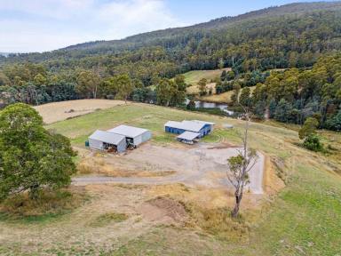 House For Sale - TAS - Acacia Hills - 7306 - Acreage minutes from Devonport  (Image 2)