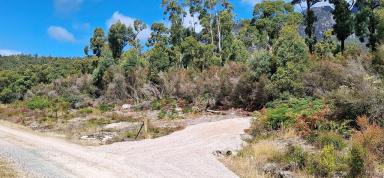 Residential Block For Sale - TAS - Claude Road - 7306 - Bush Block In the Lee of Mount Roland - Ideal Rural Hide Away - Under Contract  (Image 2)