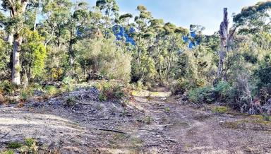 Residential Block For Sale - TAS - Claude Road - 7306 - Bush Block In the Lee of Mount Roland - Ideal Rural Hide Away - Under Contract  (Image 2)
