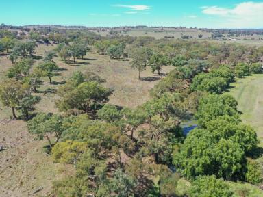 Mixed Farming For Sale - NSW - Young - 2594 - 124acs* With 850m* Of Creek Frontage Only 10mins* To Town  (Image 2)