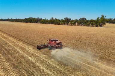 Mixed Farming For Sale - VIC - Nathalia - 3638 - SUMMIT AGGREGATION  (Image 2)