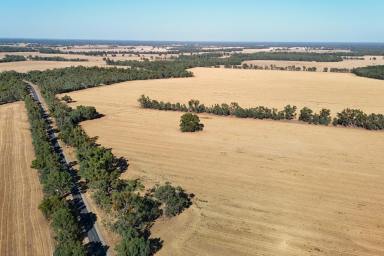 Mixed Farming For Sale - VIC - Nathalia - 3638 - SUMMIT AGGREGATION  (Image 2)