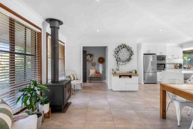 House Auction - NSW - Bangalee - 2541 - Effortless indoor-outdoor living  (Image 2)