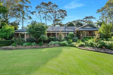 House Auction - NSW - Bangalee - 2541 - Effortless indoor-outdoor living  (Image 2)