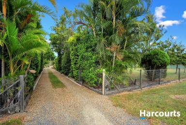 House For Sale - QLD - Branyan - 4670 - Your Own Private Oasis Acreage living Minutes to town! A MUST VIEW!  (Image 2)