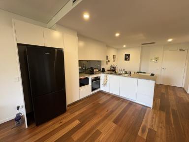 House For Lease - NSW - Gerringong - 2534 - Modern, Stylish & Central Living  (Image 2)