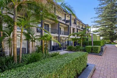 House Leased - NSW - Gerringong - 2534 - Modern, Stylish & Central Living  (Image 2)