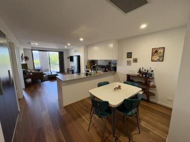 House For Lease - NSW - Gerringong - 2534 - Modern, Stylish & Central Living  (Image 2)