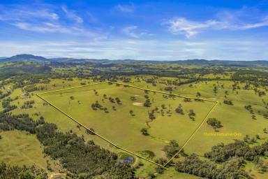 Lifestyle Sold - NSW - Singleton - 2330 - A Serene Sanctuary: Your Dream Home Awaits  (Image 2)