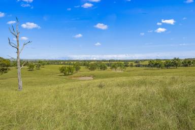 Lifestyle For Sale - NSW - Singleton - 2330 - A Serene Sanctuary: Your Dream Home Awaits  (Image 2)