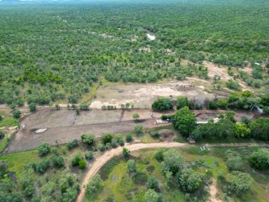 Livestock For Sale - NT - Flying Fox - 0852 - MOROAK AND GOONDOOLOO STATIONS - LARGE-SCALE CATTLE BREEDING OPERATION AND APPROVED CARBON PROJECT  (Image 2)