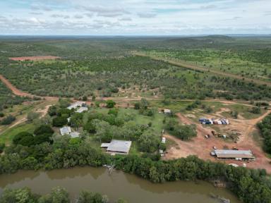 Livestock For Sale - NT - Flying Fox - 0852 - MOROAK AND GOONDOOLOO STATIONS - LARGE-SCALE CATTLE BREEDING OPERATION AND APPROVED CARBON PROJECT  (Image 2)