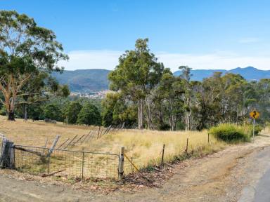 Residential Block For Sale - TAS - Black Hills - 7140 - A parcel of land nestled in the stunning Black Hills  (Image 2)