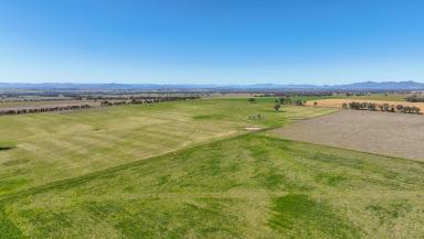 Lifestyle For Sale - NSW - Tamworth - 2340 - CHOICE LIFESTYLE BUILDING BLOCK ON THE OUTSKIRTS OF TAMWORTH  (Image 2)