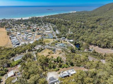 Residential Block For Sale - TAS - Sisters Beach - 7321 - 41b Banksia Avenue, Sisters Beach  (Image 2)