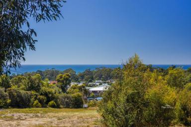 Residential Block For Sale - TAS - Sisters Beach - 7321 - 41A Banksia Avenue  (Image 2)