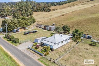 Other (Rural) For Sale - TAS - Gunns Plains - 7315 - BREATHTAKING VIEWS WITH 90-ACRES (APPROX)  (Image 2)