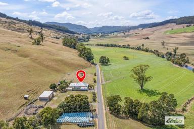 Other (Rural) For Sale - TAS - Gunns Plains - 7315 - BREATHTAKING VIEWS WITH 90-ACRES (APPROX)  (Image 2)