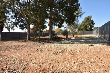 Residential Block For Sale - VIC - Rutherglen - 3685 - BUILD THE HOME YOU'VE ALWAYS DREAMED OF  (Image 2)