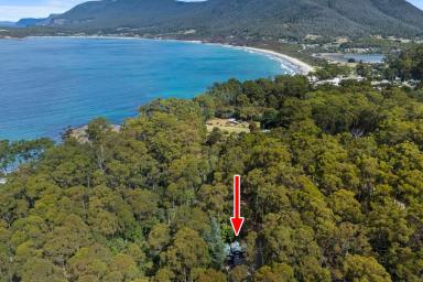 House For Sale - TAS - Eaglehawk Neck - 7179 - Rainforest Retreat with Creek and Cottage, Steps from Pirates Bay  (Image 2)