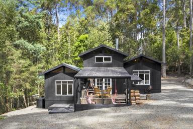House For Sale - TAS - Eaglehawk Neck - 7179 - Rainforest Retreat with Creek and Cottage, Steps from Pirates Bay  (Image 2)