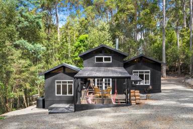 House For Sale - TAS - Eaglehawk Neck - 7179 - Rainforest Retreat with Creek and Cottage, Steps from Pirates Bay  (Image 2)