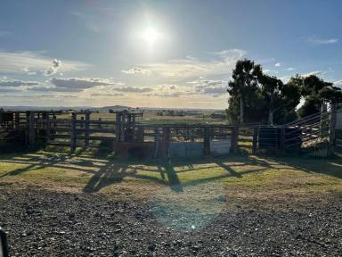 Commercial Farming For Sale - QLD - Finnie - 4350 - FARMING WITH A VIEW, JUST MINUTES FROM TOOWOOMBA  (Image 2)