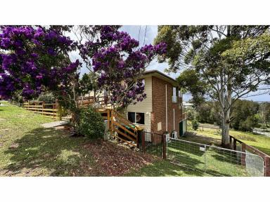 House For Lease - NSW - Coomba Park - 2428 - Family Home with Lake Views  (Image 2)