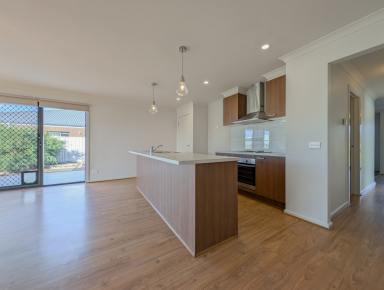 House For Sale - VIC - Kerang - 3579 - Modern 4 bedroom brick veneer home  (Image 2)